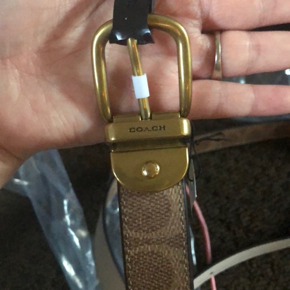 Coach tan belt main image 6